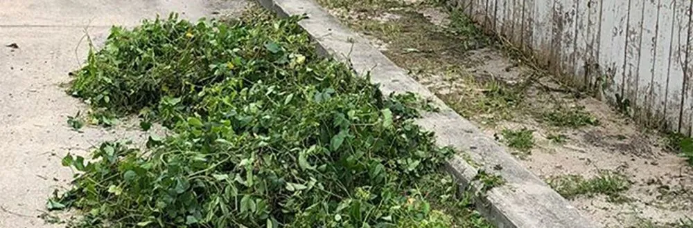 Expert yard cleanup service for beautiful yards across New Orleans, LA - Mcfaith Lawn Care