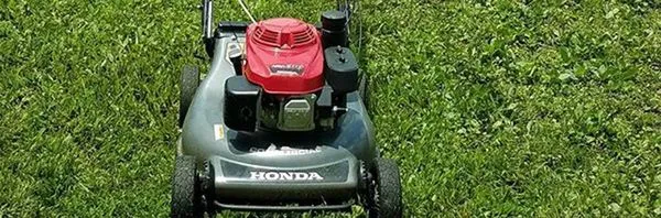 Mcfaith Lawn Care Logo