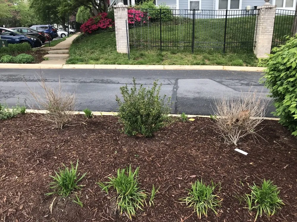 Local lawn mowing service for residential properties in Annandale, VA by McFall & Berry Landscape Management