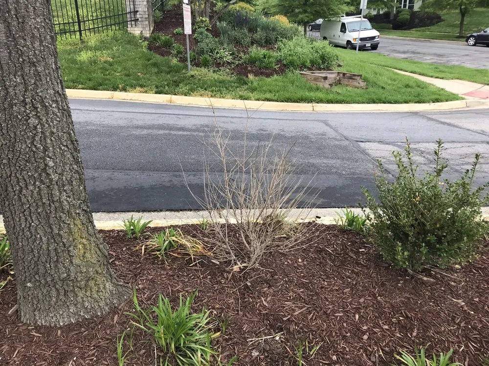 Custom garden landscaping experts serving Annandale, VA - McFall & Berry Landscape Management