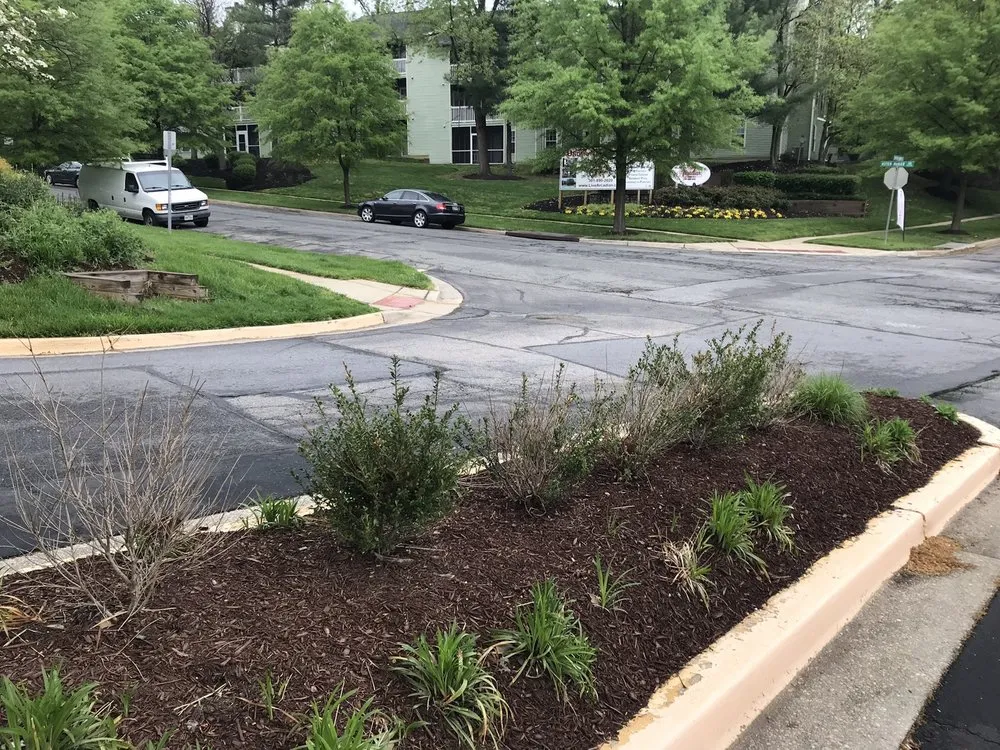 Trusted yard maintenance in Annandale, VA - McFall & Berry Landscape Management