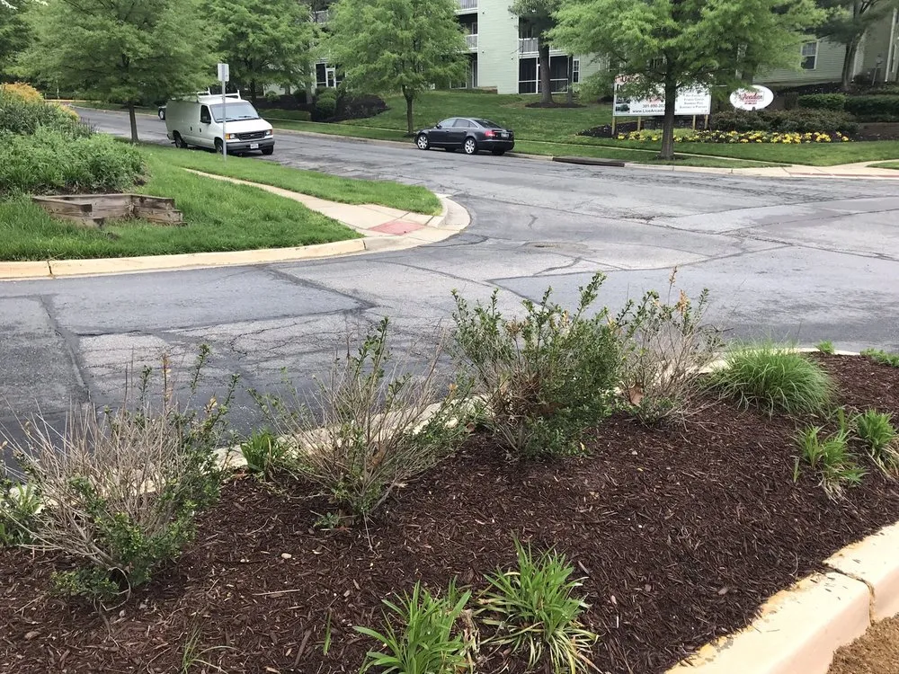 Professional residential landscaping with custom design in Annandale, VA by McFall & Berry Landscape Management