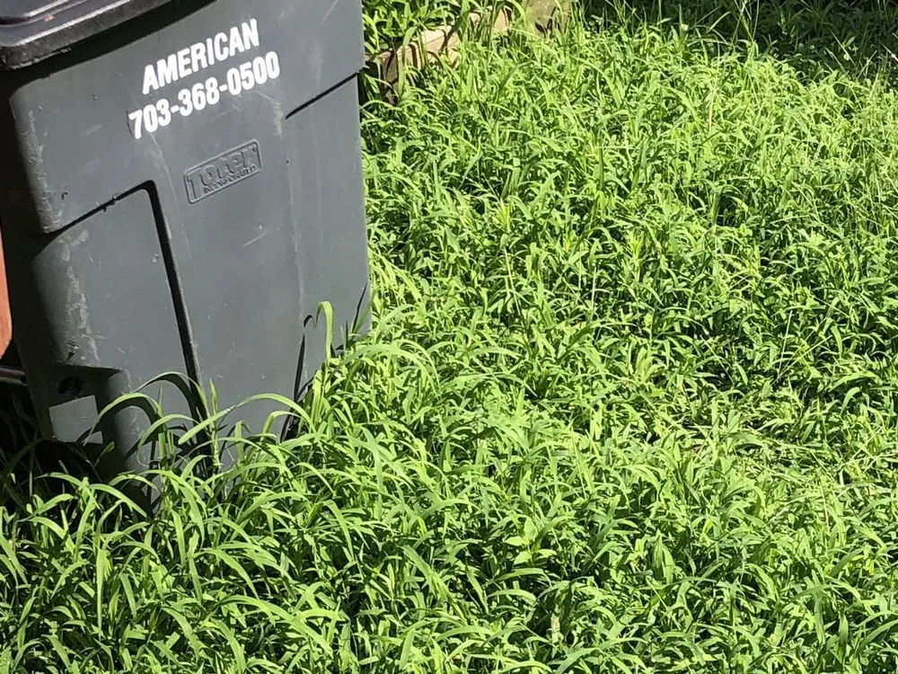 Trusted lawn mowing service experts serving Annandale, VA - McFall & Berry Landscape Management