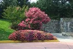 Top-rated garden landscaping near you across Annandale, VA - McFall & Berry Landscape Management