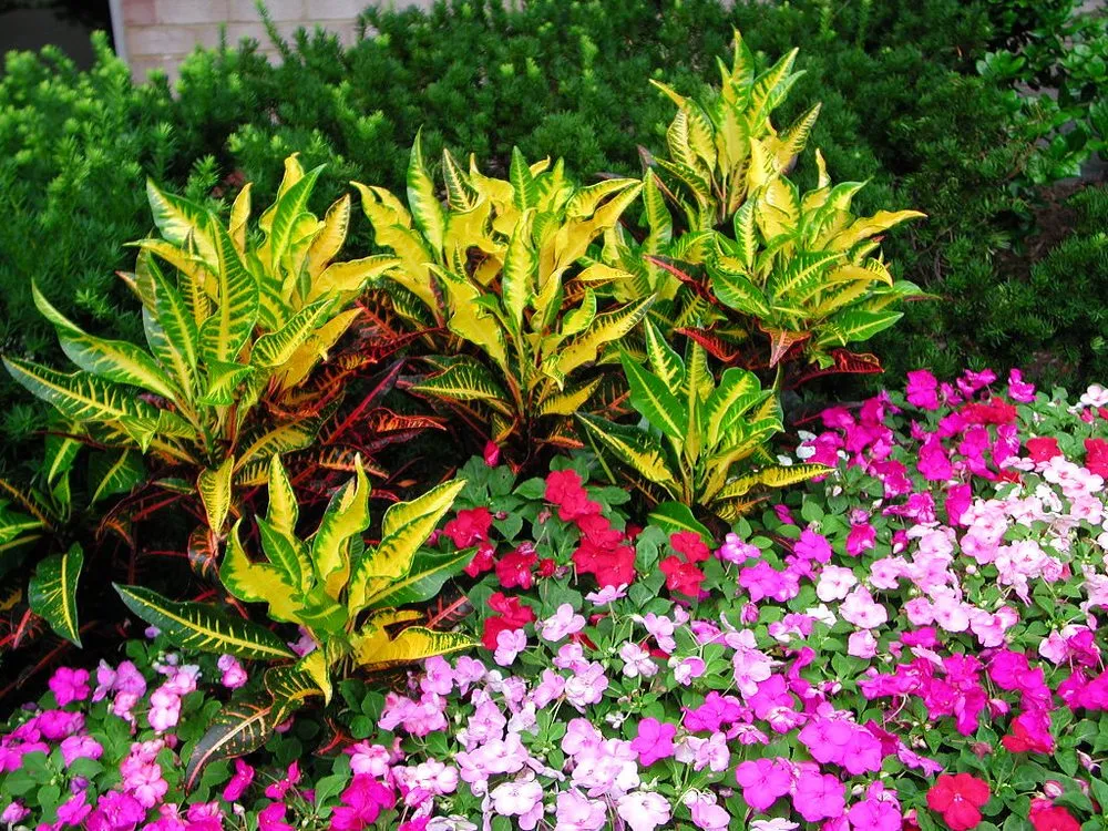 Professional landscaping services in Annandale, VA - McFall & Berry Landscape Management