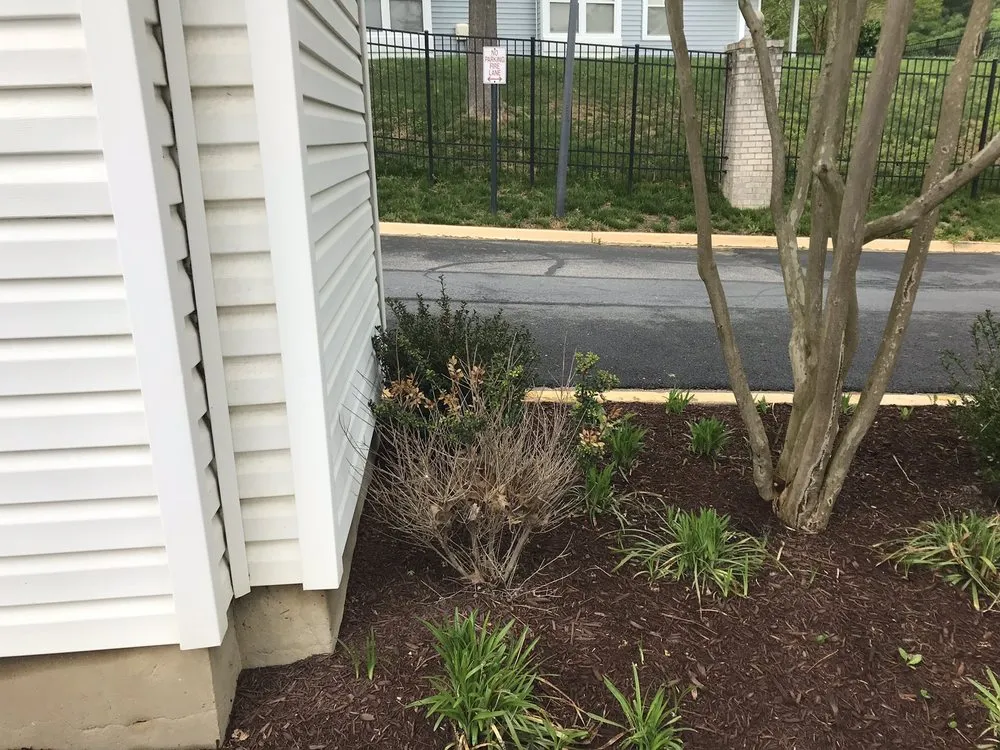 Custom landscaping services experts serving Annandale, VA - McFall & Berry Landscape Management