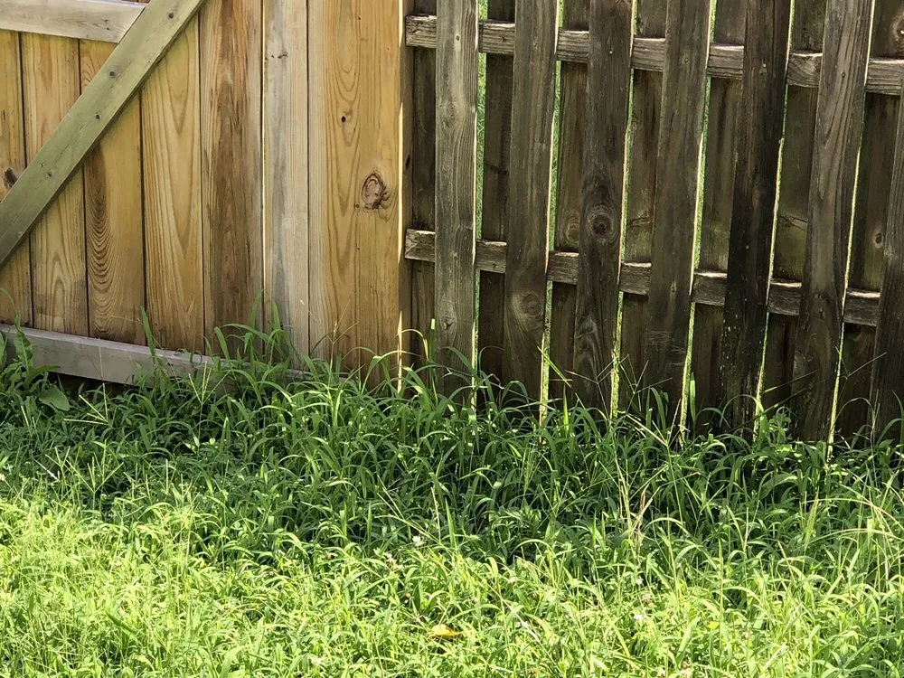 Local yard maintenance experts serving Annandale, VA - McFall & Berry Landscape Management