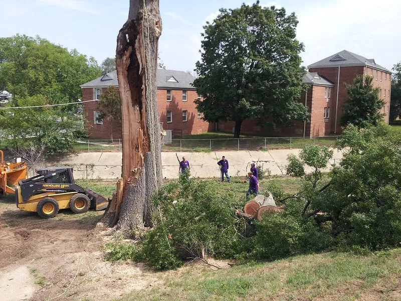 Expert yard maintenance for homes in Annandale, VA by McFall & Berry Landscape Management