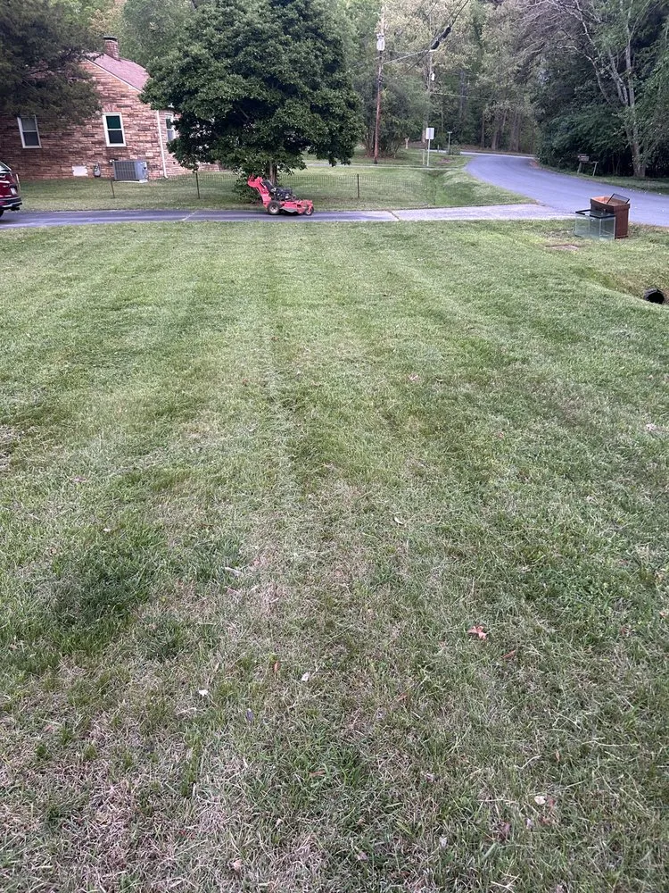 Affordable yard cleanup service in Durham, NC by Mcfalls Lawncare