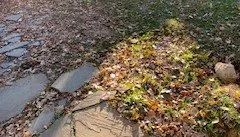 Top-rated residential landscaping in Philadelphia, PA by McFarland Landscape Services