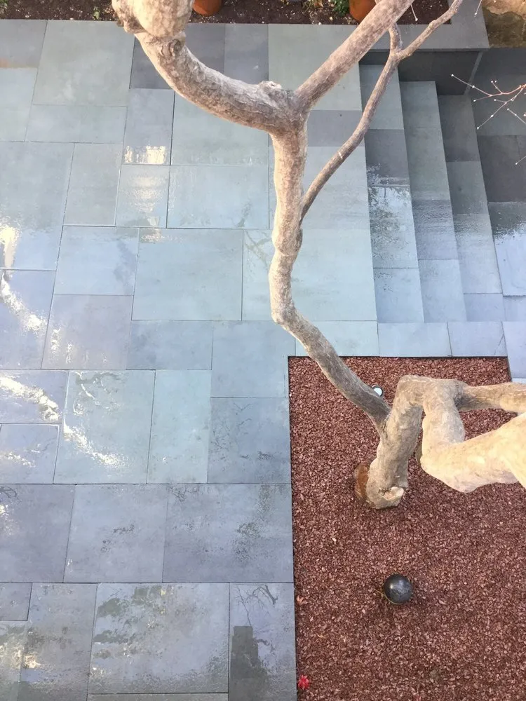 Top-rated yard cleanup service for outdoor upgrades across Philadelphia, PA - McFarland Landscape Services