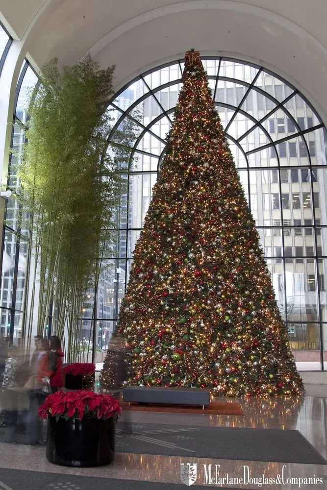 Reliable landscape design for year-round maintenance across Burr Ridge, IL - McFarlane Douglass and Companies