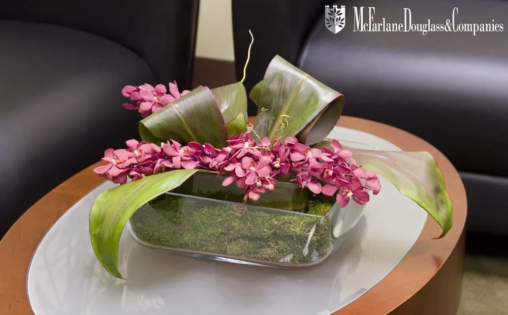 Expert landscape installation experts serving Burr Ridge, IL - McFarlane Douglass and Companies