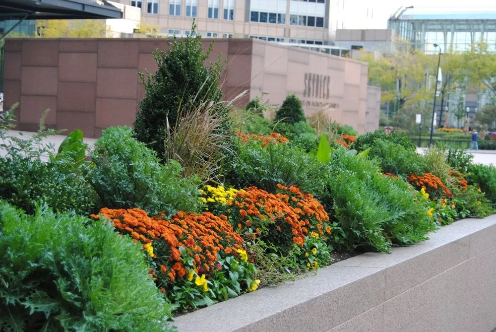 Trusted outdoor landscaping for residential properties across Burr Ridge, IL - McFarlane Douglass and Companies