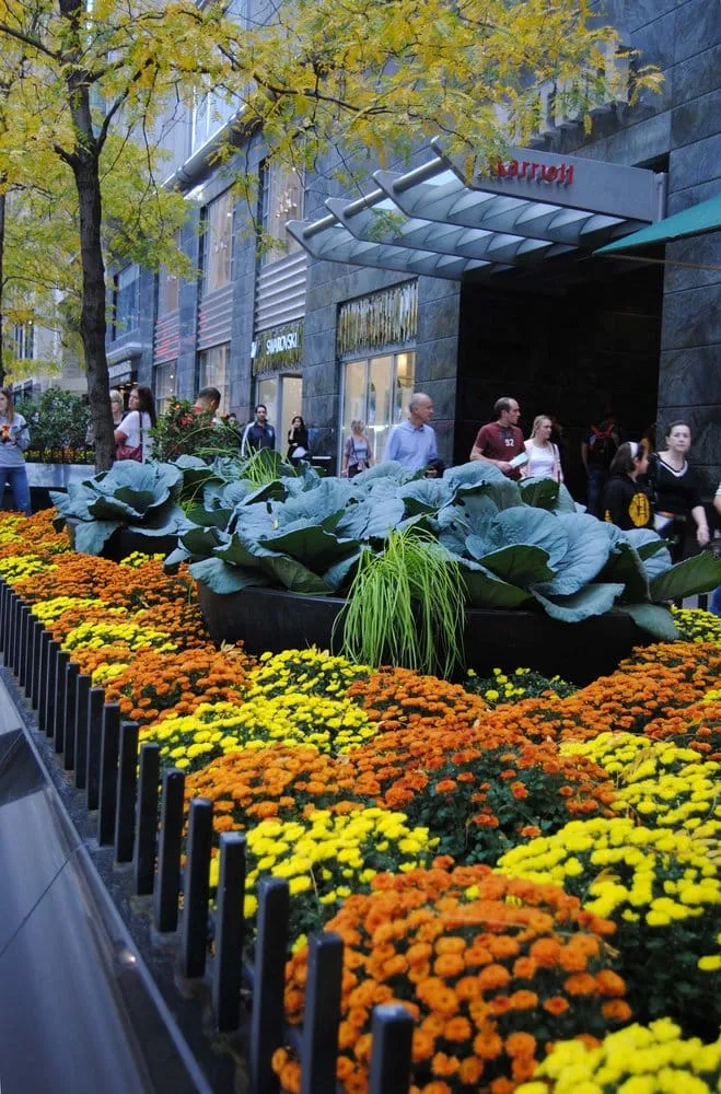 Local landscape design experts serving Burr Ridge, IL - McFarlane Douglass and Companies