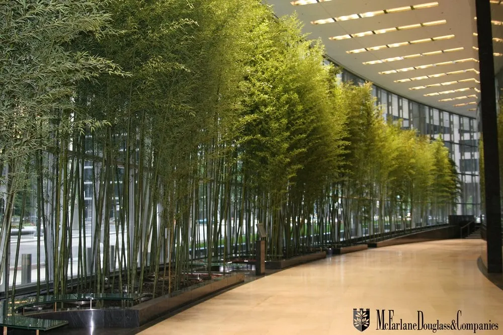 Top-rated garden landscaping experts serving Burr Ridge, IL - McFarlane Douglass and Companies