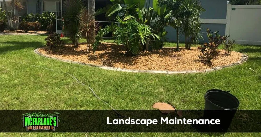 Expert yard cleanup service experts serving Cape Coral, FL - McFarlane's Lawn & Landscaping