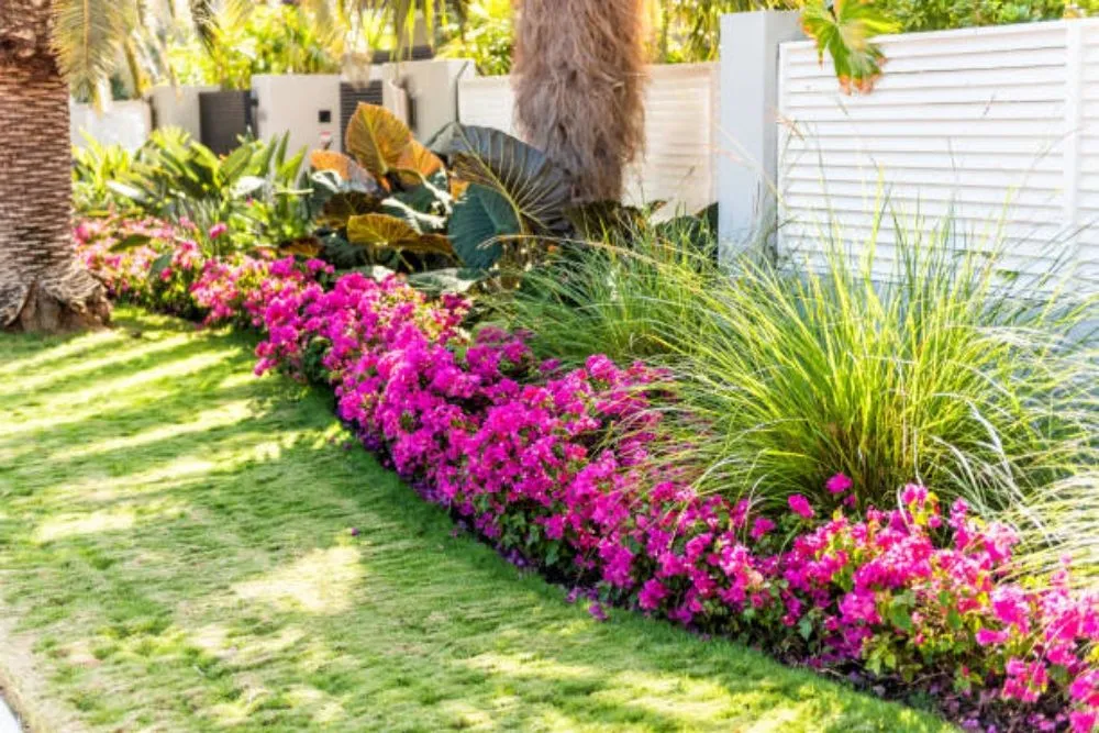 Top-rated residential landscaping for year-round maintenance in Homestead, FL by MCG Business