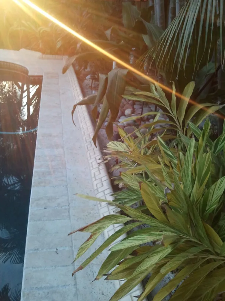 Local landscape design experts serving Miami, FL - MCG
