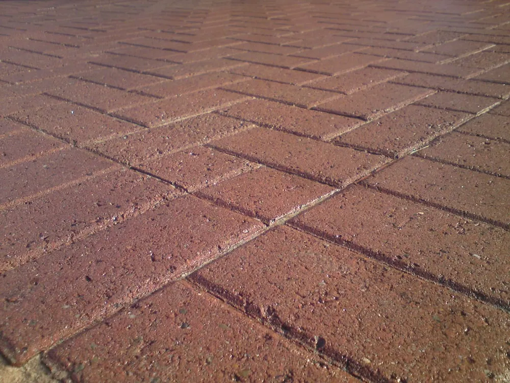 Professional landscape design in Miami, FL - MCG