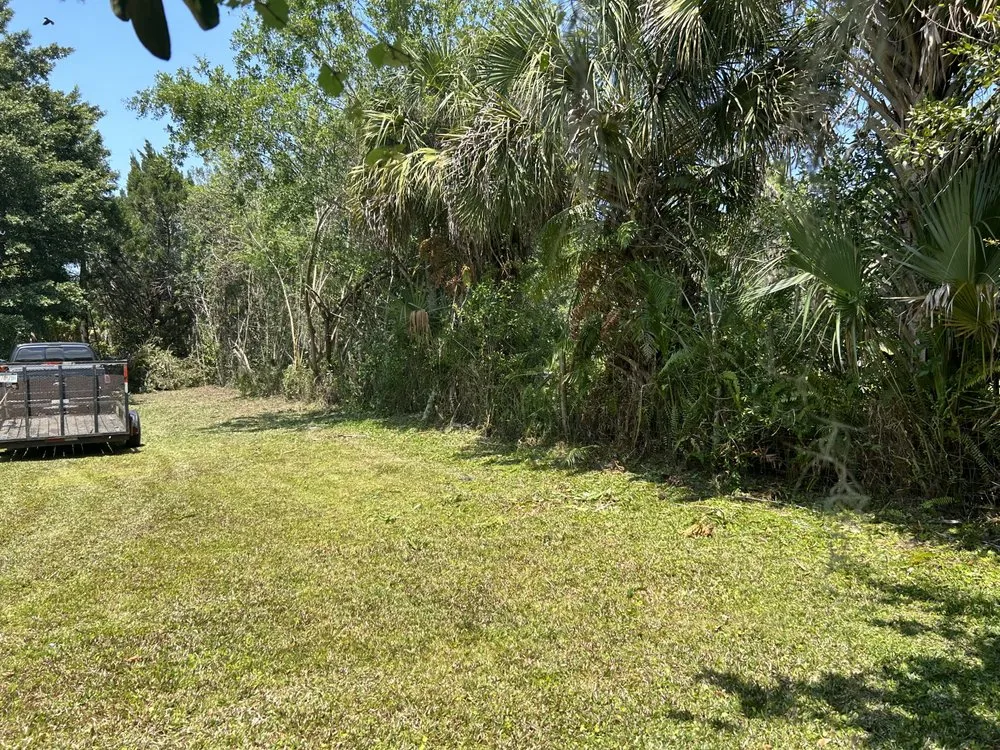 Affordable landscape installation experts serving Fort Pierce, FL - Mcgee landscape and junk removal