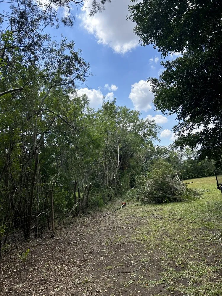 Custom landscaping services in Fort Pierce, FL - Mcgee landscape and junk removal