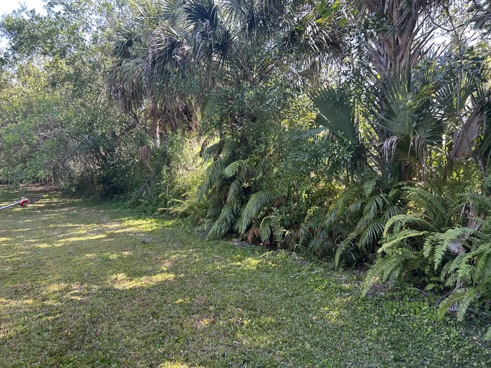 Reliable landscape installation in Fort Pierce, FL - Mcgee landscape and junk removal