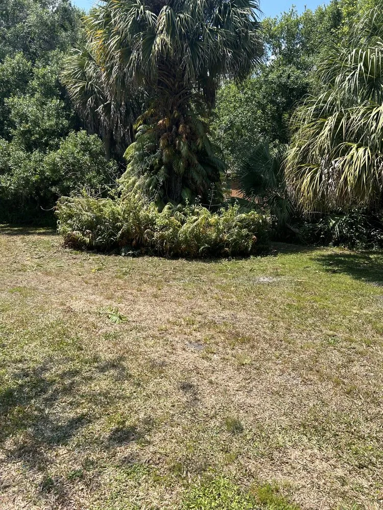 Local yard cleanup service with custom design across Fort Pierce, FL - Mcgee landscape and junk removal