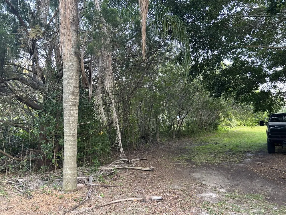 Top-rated lawn mowing service near you in Fort Pierce, FL by Mcgee landscape and junk removal