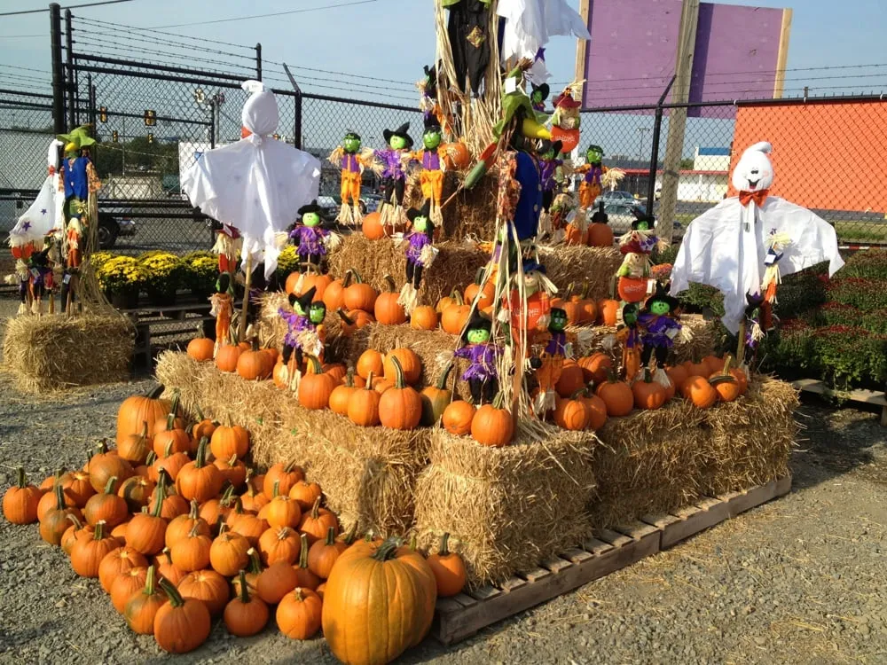 Top-rated outdoor landscaping for beautiful yards in Alexandria, VA by McGee Landscaping & Hardscaping