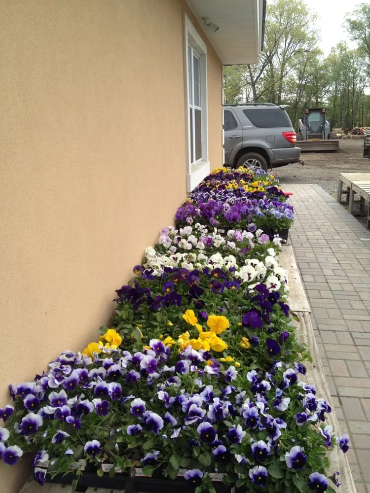 Affordable lawn mowing service in Alexandria, VA - McGee Landscaping & Hardscaping