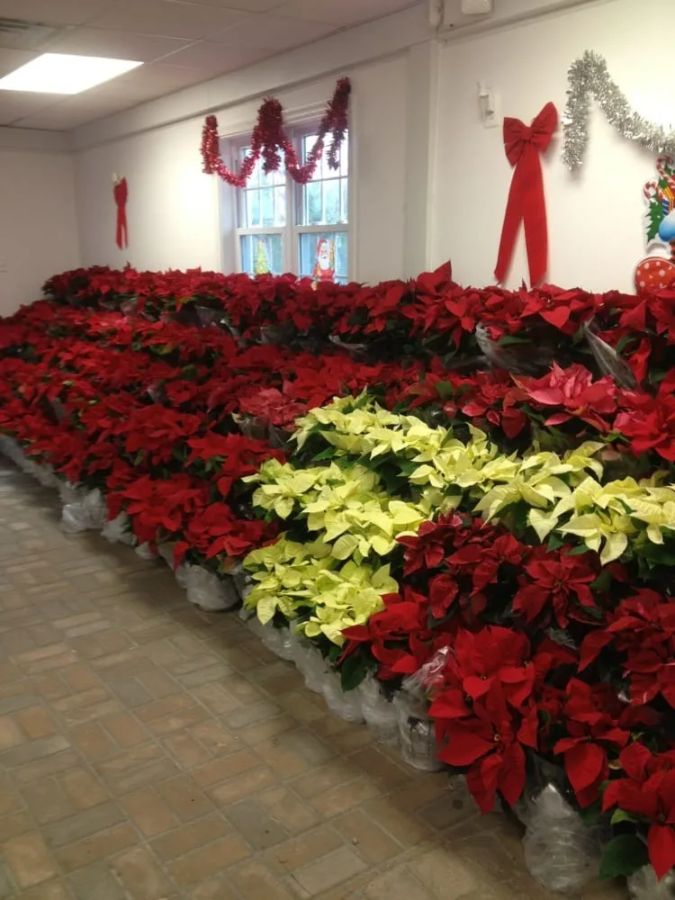 Trusted garden landscaping for residential properties in Alexandria, VA by McGee Landscaping & Hardscaping