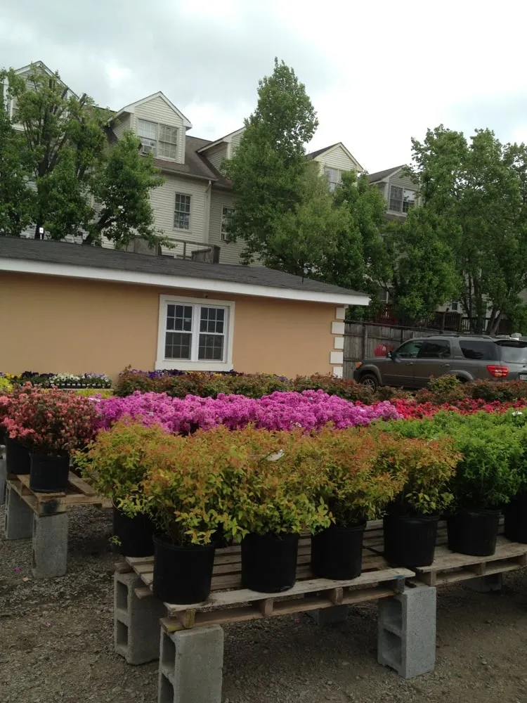 Professional lawn care service experts serving Alexandria, VA - McGee Landscaping & Hardscaping