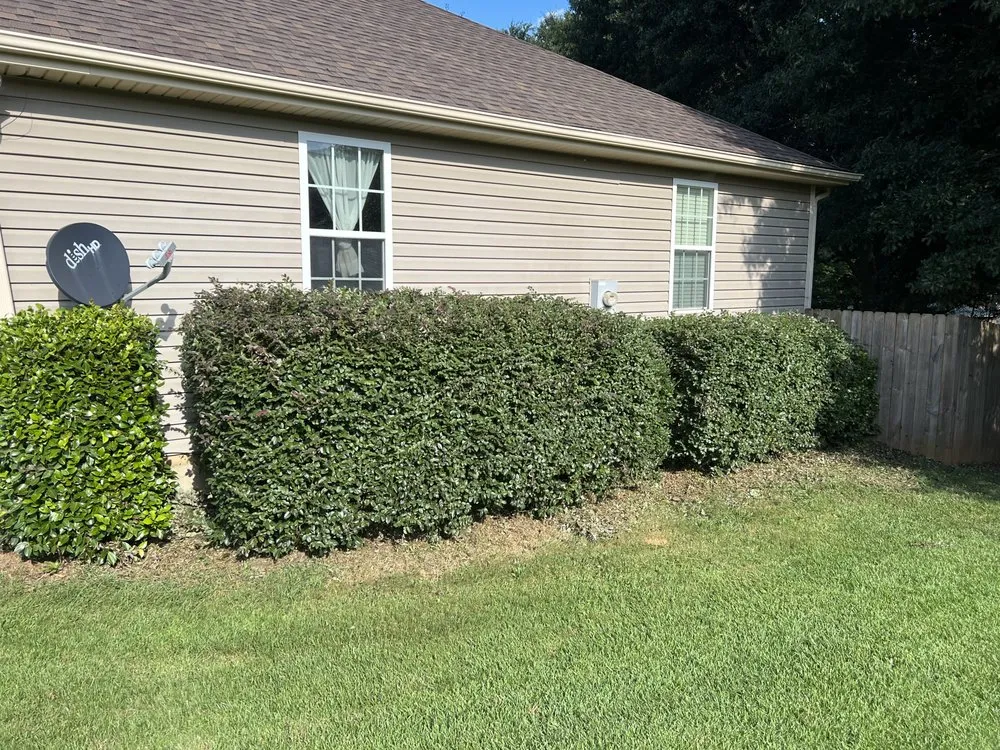 Expert landscape installation near you across Greer, SC - McGee Outdoors