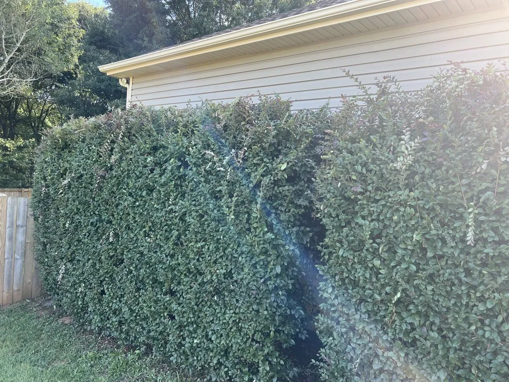 Expert landscape design experts serving Greer, SC - McGee Outdoors