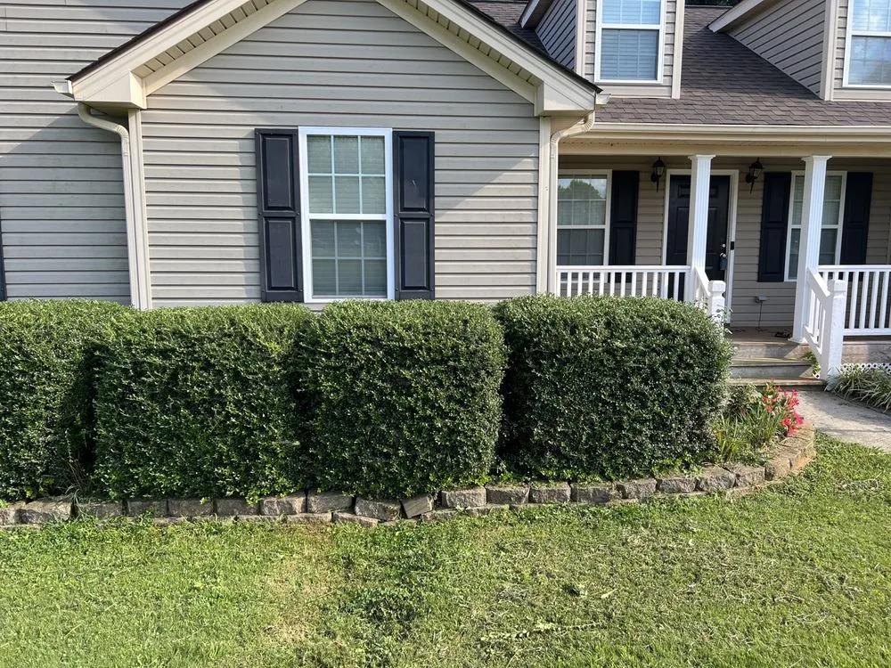 Custom outdoor landscaping for beautiful yards across Greer, SC - McGee Outdoors