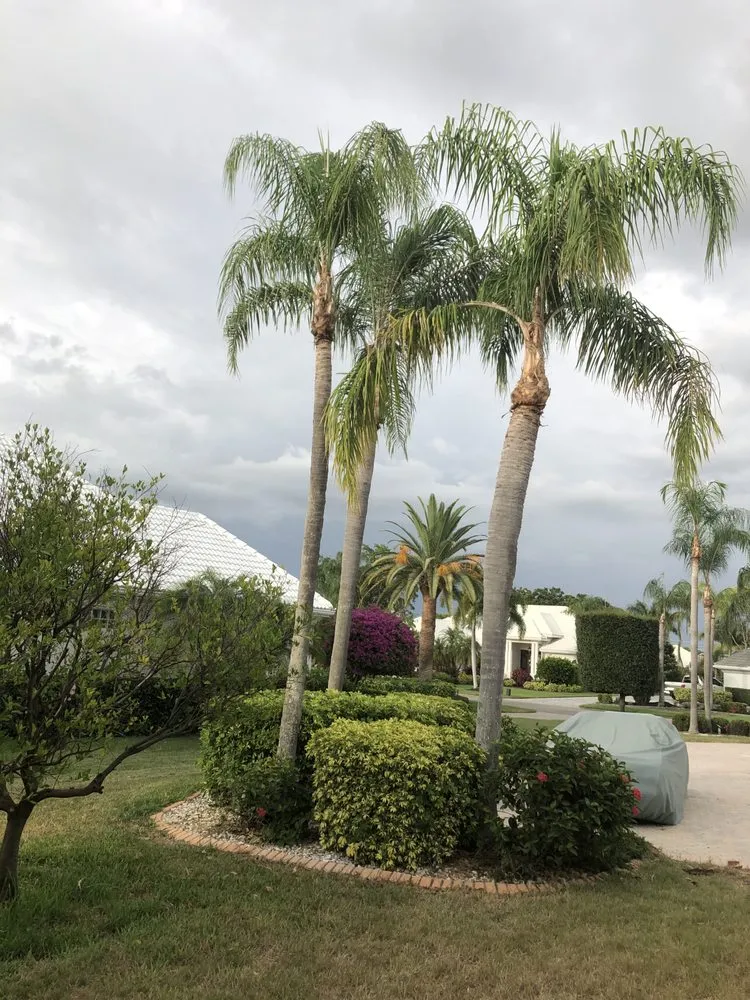 Reliable lawn mowing service experts serving Palmetto, FL - Mcgee Pro Clean and Lawn Services