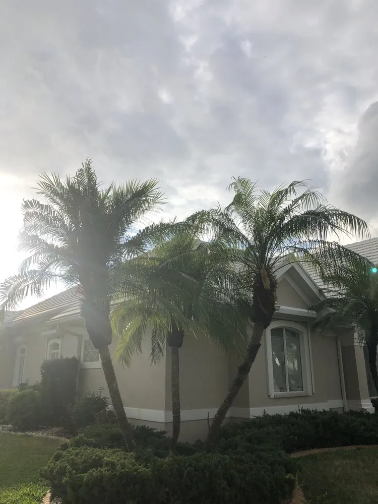 Custom residential landscaping for residential properties in Palmetto, FL by Mcgee Pro Clean and Lawn Services