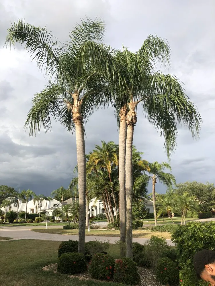 Top-rated landscape installation for beautiful yards across Palmetto, FL - Mcgee Pro Clean and Lawn Services