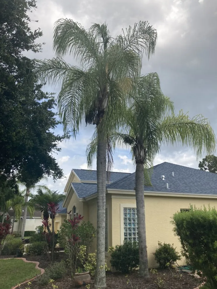 Reliable landscape design with custom design across Palmetto, FL - Mcgee Pro Clean and Lawn Services