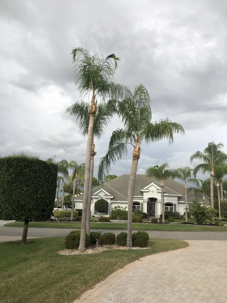 Trusted lawn care service for year-round maintenance in Palmetto, FL by Mcgee Pro Clean and Lawn Services