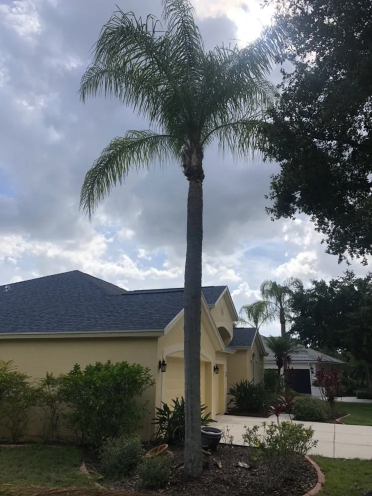 Reliable residential landscaping in Palmetto, FL by Mcgee Pro Clean and Lawn Services