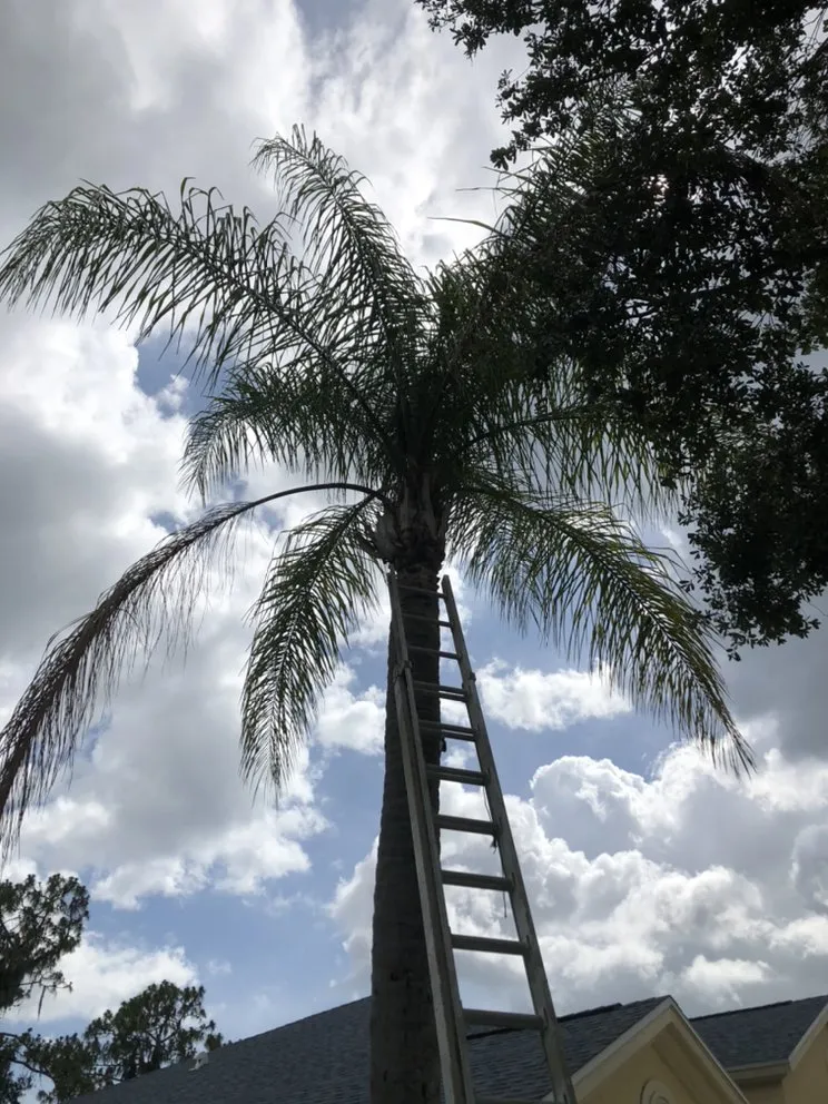 Local outdoor landscaping in Palmetto, FL - Mcgee Pro Clean and Lawn Services