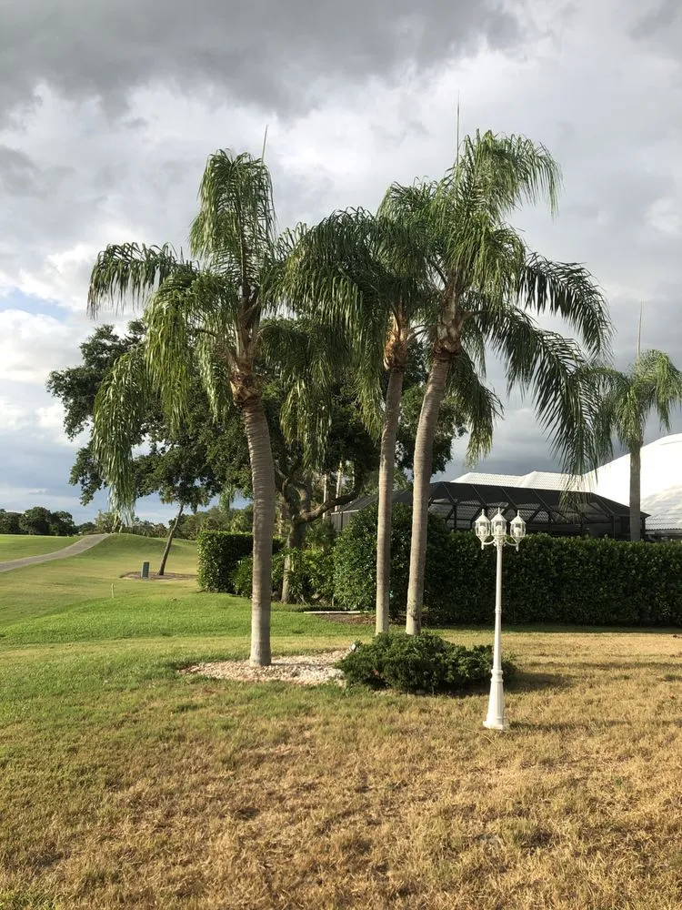 Expert garden landscaping in Palmetto, FL - Mcgee Pro Clean and Lawn Services