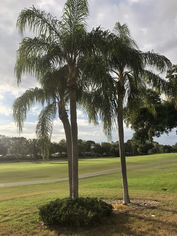 Local garden landscaping in Palmetto, FL - Mcgee Pro Clean and Lawn Services