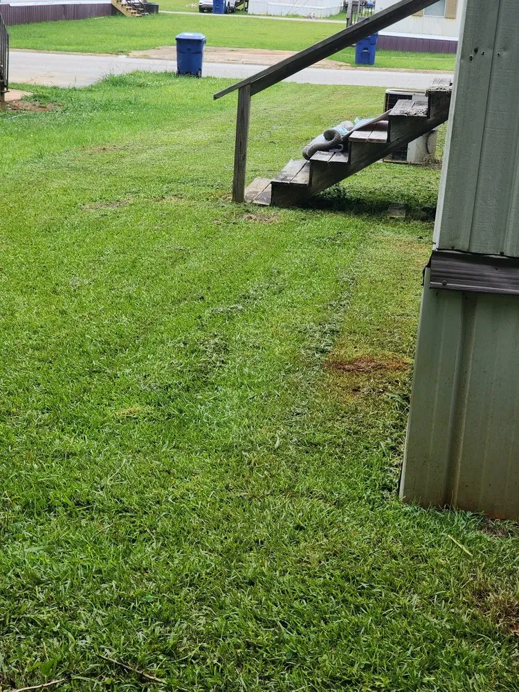 Local yard cleanup service experts serving LaGrange, GA - McGee's Property Services