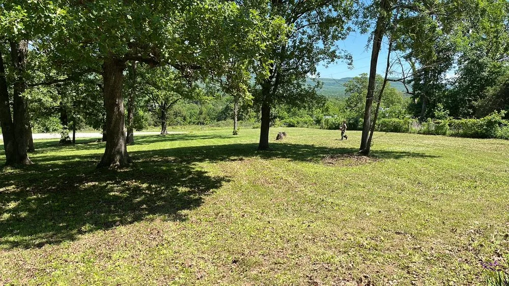 Affordable yard maintenance for homes across Berryville, AR - McGehee Mowing