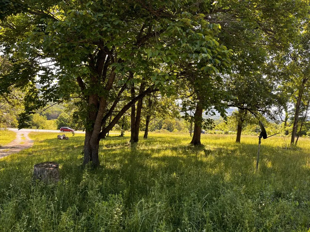 Affordable yard maintenance in Berryville, AR by McGehee Mowing