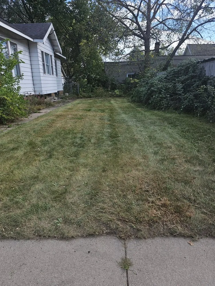 Expert landscaping services for year-round maintenance across St. Cloud, MN - McGeough Pro Lawn