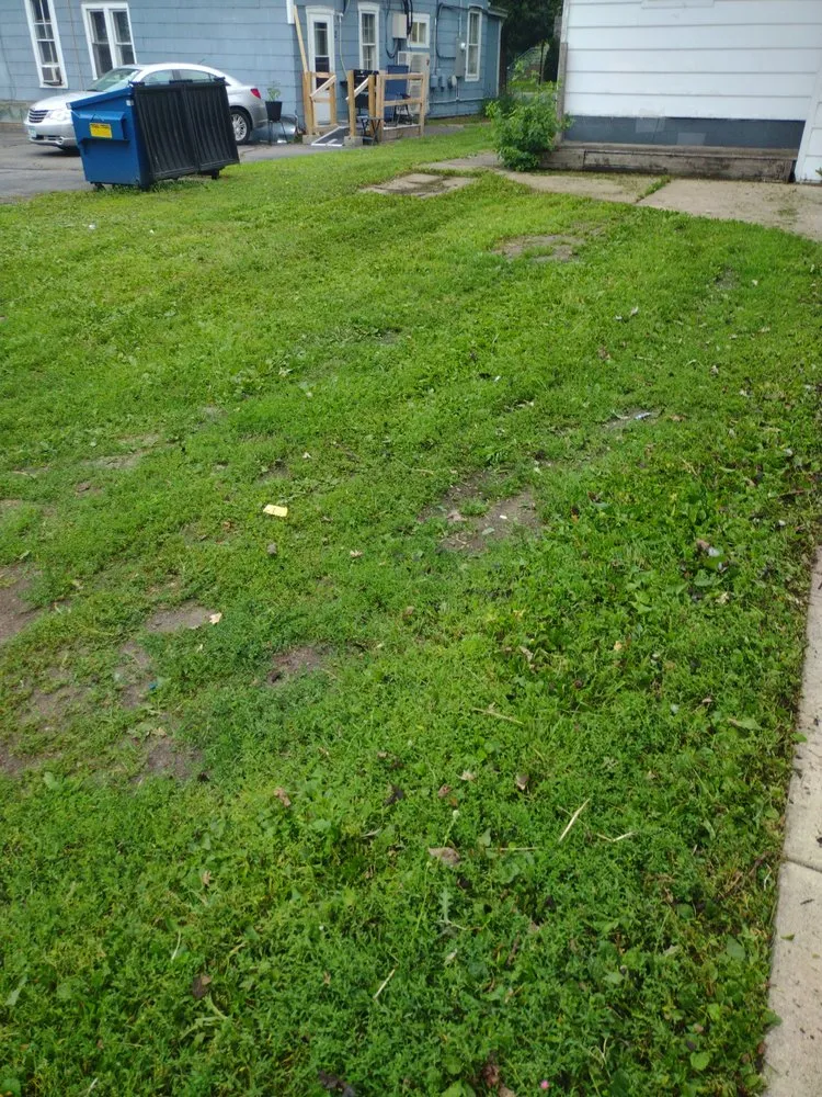 Affordable landscaping services near you in St. Cloud, MN by McGeough Pro Lawn